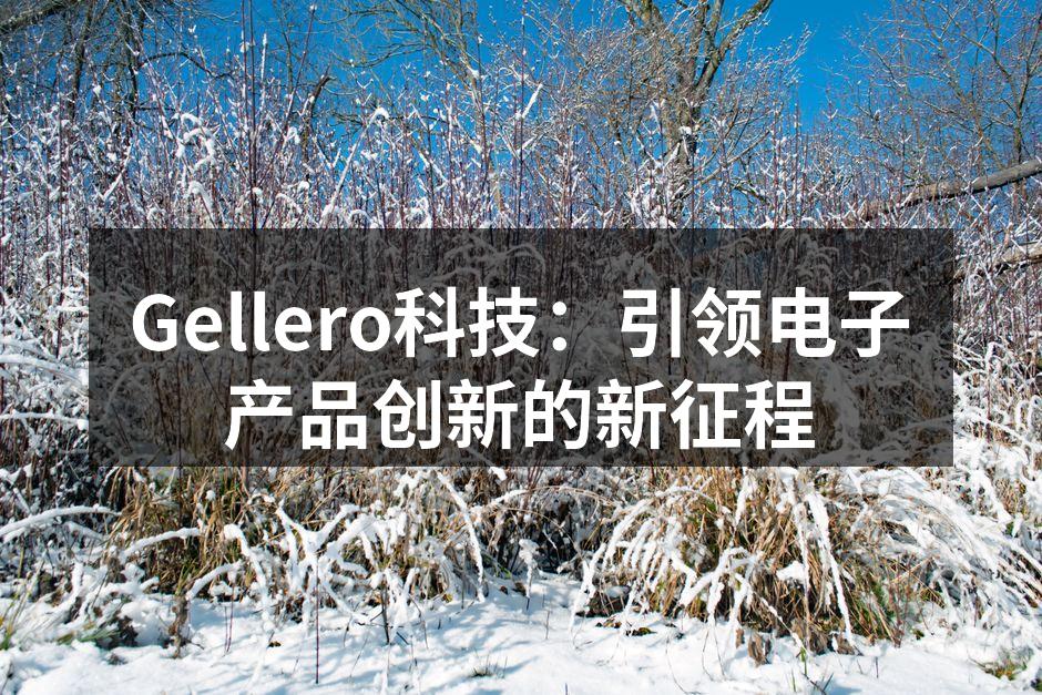 Gellero X1智能手机展览现场