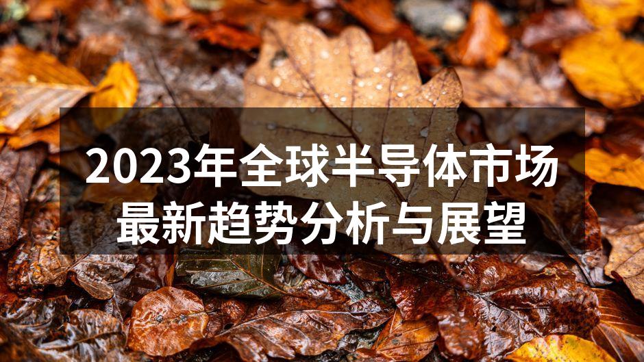 全球半导体市场分析图