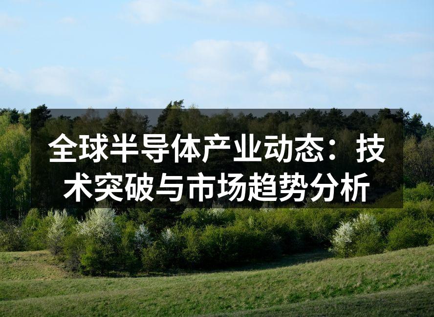 半导体芯片制造工艺示意图